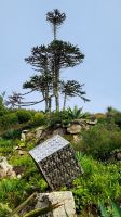 70 Abbey Garden Auf Tresco